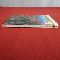 1972年5月号 旅 特集/日本100の岬 全ガイド/さい果て旅情の地