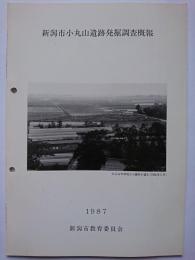 新潟市小丸山遺跡発掘調査概報　1987年