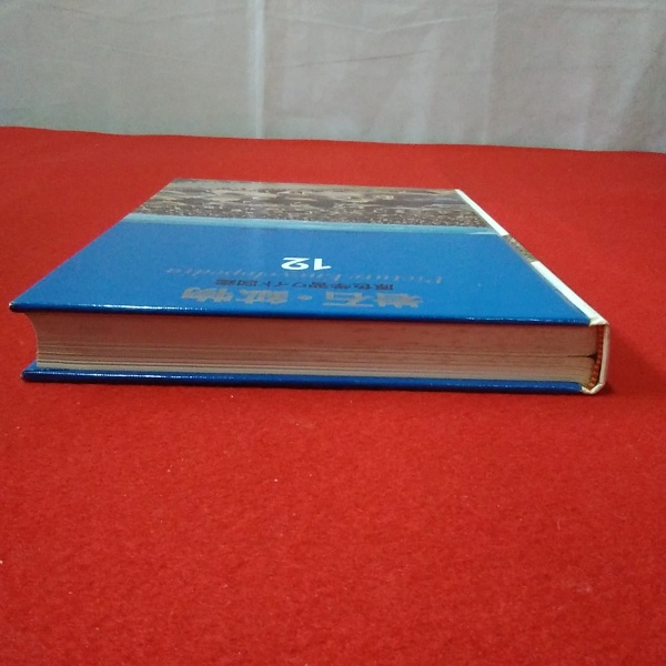 岩石・鉱物 原色学習ワイド図鑑 12 / 古本、中古本、古書籍の通販は