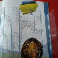 白い国の詩 昭和六十三年度版
