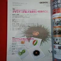 +DESIGNING Vol.15 2009年3月号 特集 デザイナーが知っておきたい写真のこと。