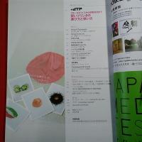 +DESIGNING Vol.15 2009年3月号 特集 デザイナーが知っておきたい写真のこと。