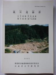 神林村埋蔵文化財報告第19　桃川遺跡群 : 石川遺跡・草田遺跡・桃川板碑・堤下瓦窯跡　2003年