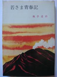 若さま青春記　〈春陽文庫〉