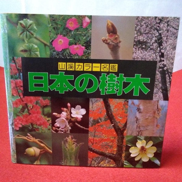 山渓カラー名鑑 日本の樹木