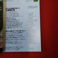 BIRDER 2014年6月号 特集 243人の読者が選んだ10種類の鳥