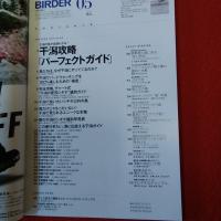 BIRDER 2014年5月号