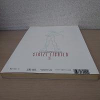 ストリートファイターⅡ映画資料全集 ＜This is animation