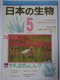 日本の生物　第5巻第5号　1991.5