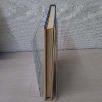 心理療法の効果