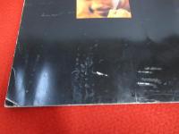 マイク・タイソンVSトニー・タッブス 昭和63年東京ドーム戦