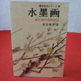 墨絵技法シリーズ5 水墨画 : 線と面の実際技法