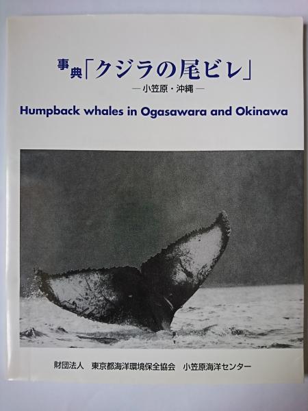 良寛と人間国宝の世界(皆川喜代弘編著) / はなひ堂 / 古本、中古