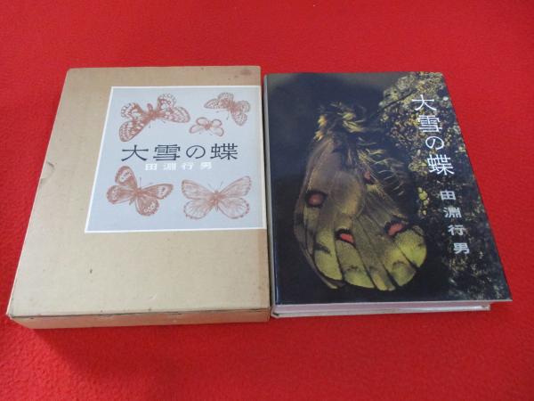 大雪の蝶(田淵行男 著) / 古本、中古本、古書籍の通販は「日本の古本屋
