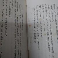 愛の極み