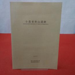 【群馬県】 小暮東新山遺跡 : 群馬県畜産試験場再編整備事業に伴う埋蔵文化財発掘調査報告書