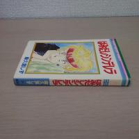 はみだしシンデレラ ＜りぼんマスコットコミックス＞