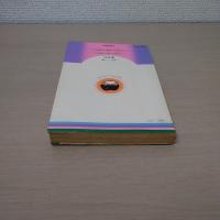はみだしシンデレラ ＜りぼんマスコットコミックス＞