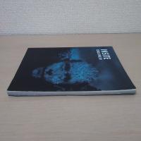 INSITE : GRAIG WALSH