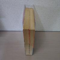 燃えてRUN　全2巻揃い