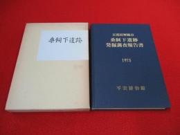 京都舞鶴市　桑飼下遺跡発掘調査報告書