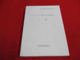 卜伝　川口ジャンクション埋蔵文化財発掘調査報告