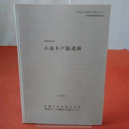 山武郡市文化財センター発掘調査報告書 第14集 小池木戸脇遺跡