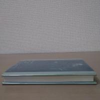 【洋書】　Edward Bulwer-Lytton : The Fiction of New Regions