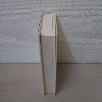 ユングとファウスト : 西洋精神史と無意識