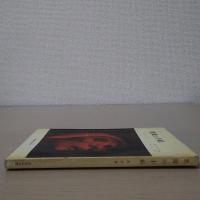 悪魔の手紙 ＜新教新書＞