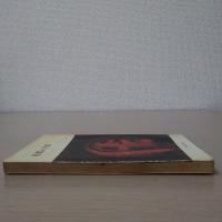 悪魔の手紙 ＜新教新書＞