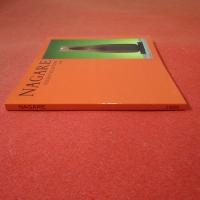 NAGARE RECENT SCULPTURE 1990