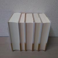 家の馬鹿息子 : ギュスターヴ・フローベール論〈1821年より1857年まで〉… 家の馬鹿息子 - 株式会社 人文書院