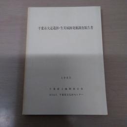 千葉市大道遺跡・生実城跡発掘調査報告書