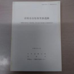 〈千葉県文化財センター調査報告第354集〉 市原市市原条里制遺跡 : 東関東自動車道(千葉富津線)、市原市道80号線埋蔵文化財調査報告書