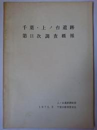 千葉・上ノ台遺跡第2次調査概報