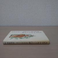 大正アナキストの夢 : 渡辺政太郎とその時代