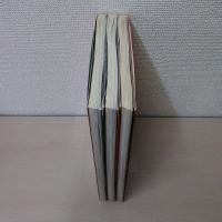 ピクトリアル江戸 1-3（『江戸城と大奥』『大名と旗本』『町屋と町人』）