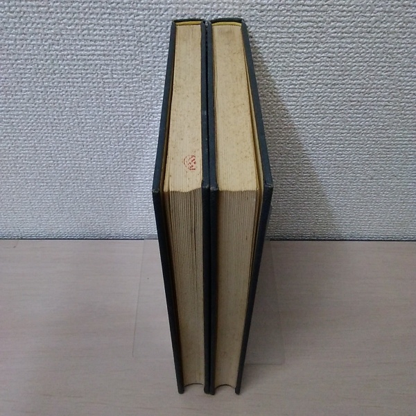 弾性安定の理論 上下巻揃い ＜理工学海外名著シリーズ 16-17  