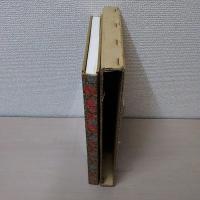 絵鷹百態