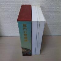 龍門石窟總録 第拾貳巻 (実測図・文字著録・図版)