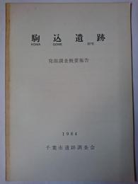 駒込遺跡 発掘調査概要報告