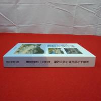 【岩手県】東日本大震災 宮古市の記録 第2巻(下)  (記録伝承)