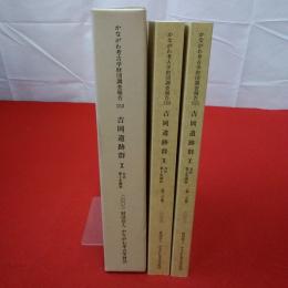 かながわ考古学財団調査報告153 吉岡遺跡群10 第1分冊 第2分冊 全2巻揃い