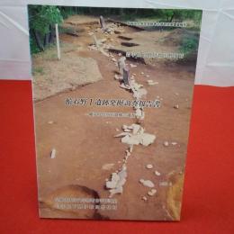 早稲田大学文学部考古学研究室調査報告 館石野1遺跡発掘調査報告書 : 縄文時代列石遺構の調査