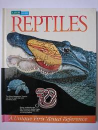 A Look Inside Reptiles