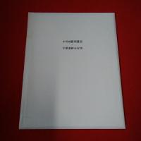 福井県史 資料編 13 (考古)