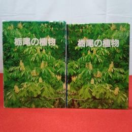 【新潟県】栃尾の植物