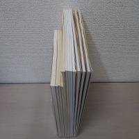 斎宮歴史博物館年報　平成元年度 (平1) - 平成14年度　(H2,H8欠品) 12冊セット