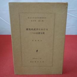 明治大学文学部研究報告 考古学 第7冊 群馬県武井における二つの石器文化